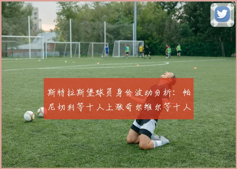 斯特拉斯堡球员身价波动分析：帕尼切利等十人上涨奇尔维尔等十人下滑