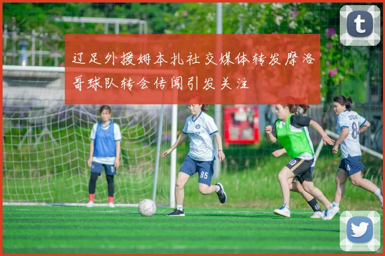 辽足外援姆本扎社交媒体转发摩洛哥球队转会传闻引发关注