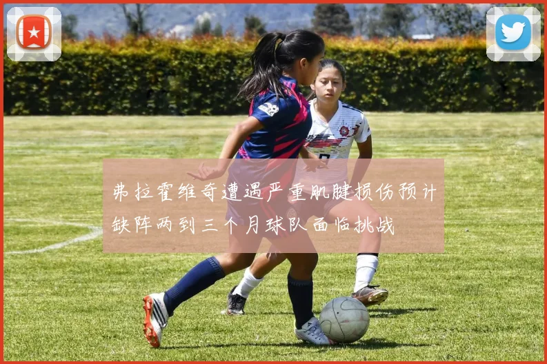 弗拉霍维奇遭遇严重肌腱损伤预计缺阵两到三个月球队面临挑战