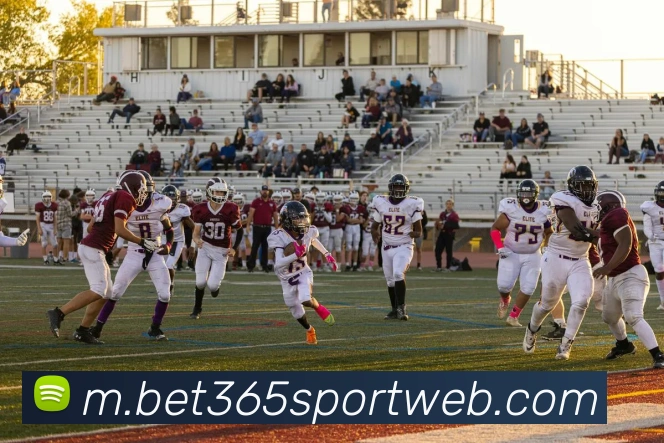 beats365体育APP 封面图